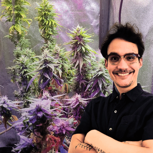 Imagem demonstra o especialista em cultivo de cannabis indoor Luan Menezes de Souza, formado pelo instituto de Utah com Bruce Bugbee